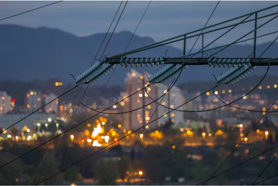 Smart Grid: Features, Functions, Communication Network